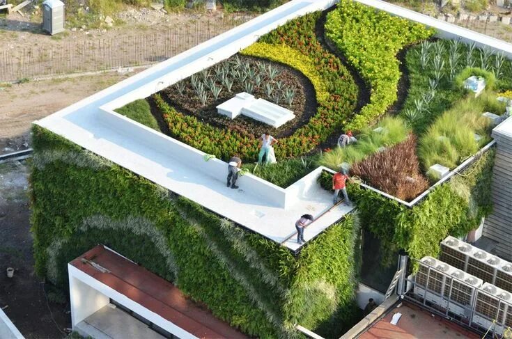 Artenreicher Dachgarten ist FBB-Gründach des Jahres 2015 Green roof garden, Roof