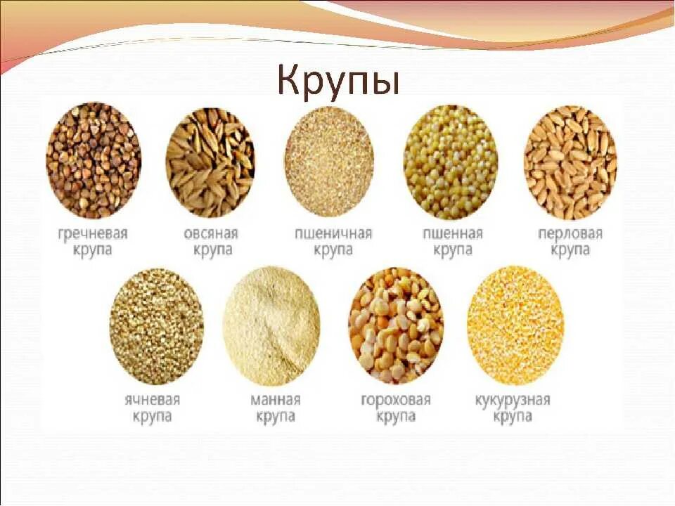 Какие классификации пшеницы вы знаете. Виды круп. Крупы весовые. Каши крупы названия. Вид зерна вид крупы.