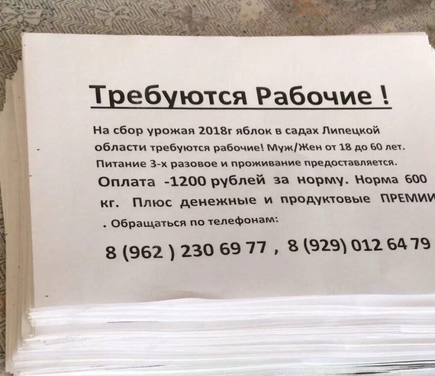 Соберешь работа