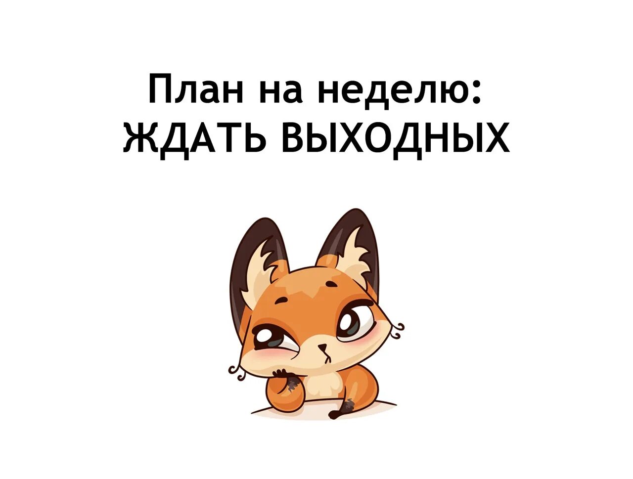 Спасибо какие планы