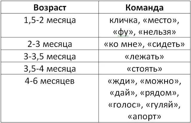 Сколько раз кормить щенка кормом. Кормление щенка шпица 3 месяца сколько раз. Сколько надо кормить 5 месячного щенка шпица. Таблица кормления шпица. Чем можно кормить щенка шпица в 2 месяца.