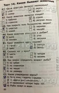 Ответы на тесты по окружающему