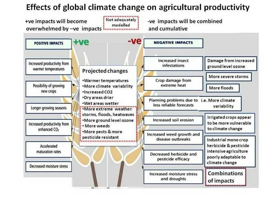 Climate change Effects. Causes and Effects of climate change. Climate variability and climate change. Effects of global warming