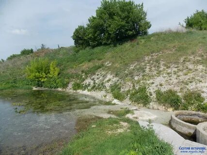 Село криница воронежская область