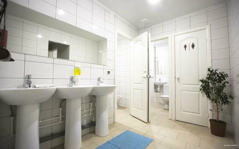 Бла бла хостел. Bla bla большая садовая ул. Bla bla hostel ростов на дону. Хостелы ростова. Бла бла хостел.