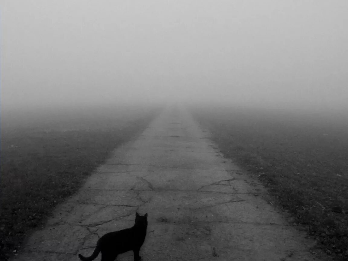 Пустота картинки. Пустая дорога ночью. Мрак туман лес тени. Пустота и одиночество. Демотиватор пустота.