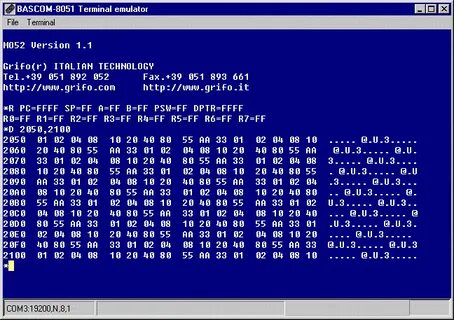 Terminal emulator