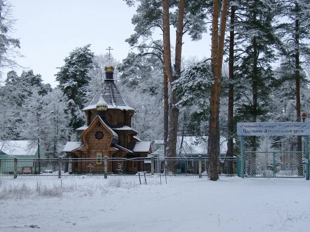 село кашино свердловской области. царевиче-алексиевский храм г алексин. храм царевича алексея. алексиевский храм тула. алексин бор церковь царевича.