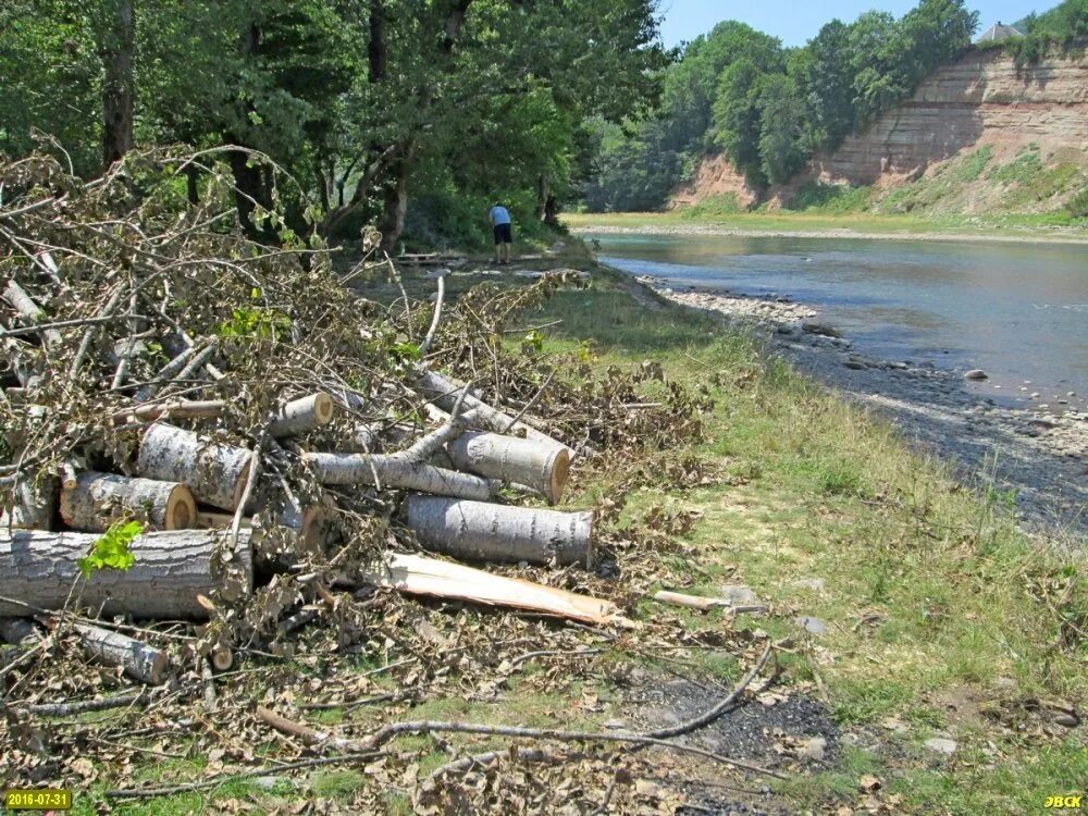 Вырубка лесов в водосборном бассейне байкала. Вырубка деревьев в верховьях рек. Срубленный лес. Вырубка деревьев на склонах рек. Вырубка деревьев на склонах рек.