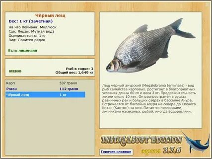 Какое время ловить лещей