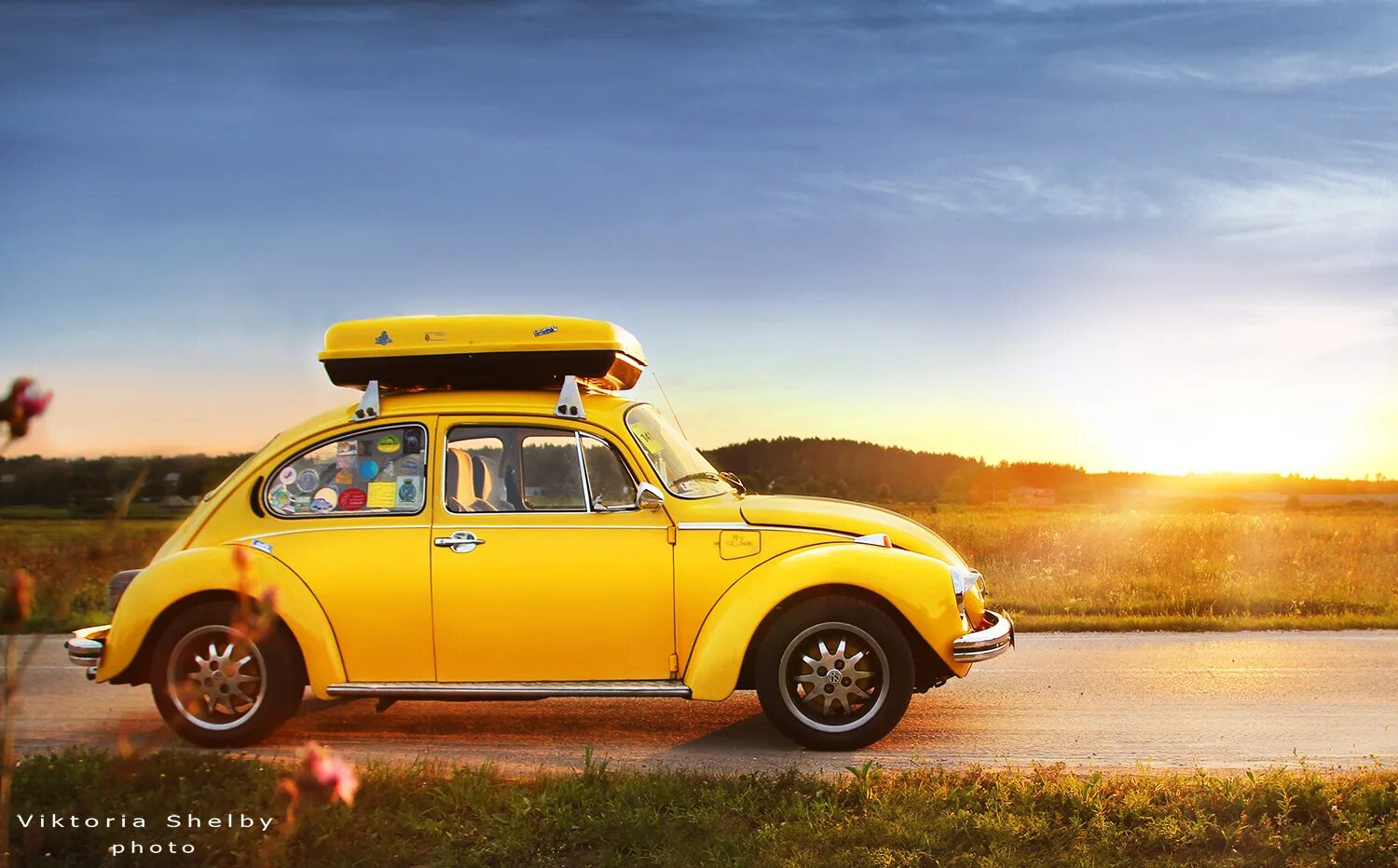 Volkswagen Beetle Yellow. Volkswagen Жук желтый. Желтый Жук автомобиль Фольксваген 2. Оранжевый Фольксваген Жук. Volkswagen желтый