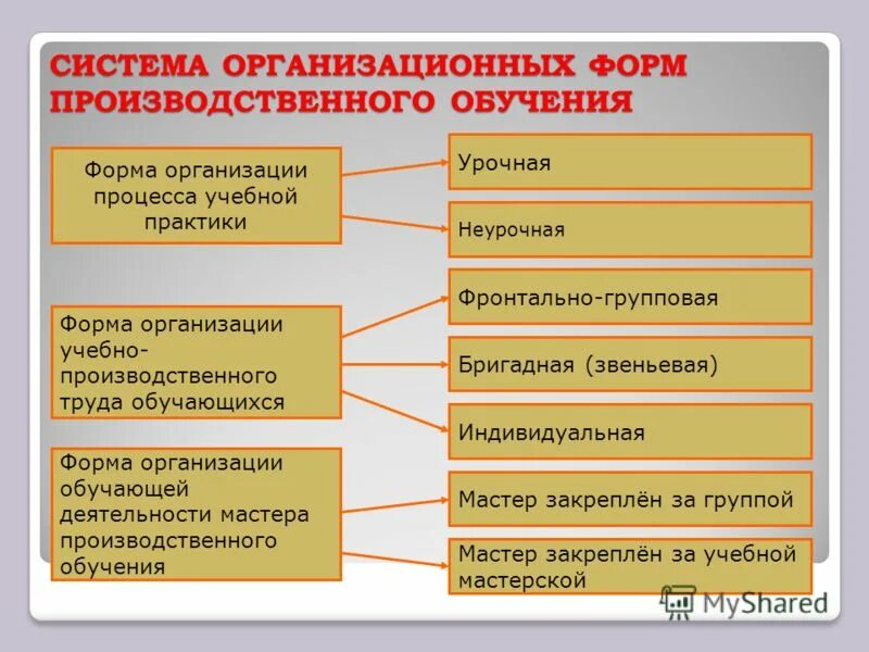 Организация и проведение учебной практики. Формы организации производственного обучения. Формы организации процесса производственного обучения. Формы организации практики. Организационные формы учебного процесса.