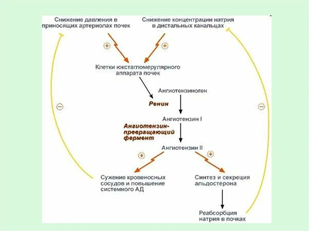 Уменьшение секреции
