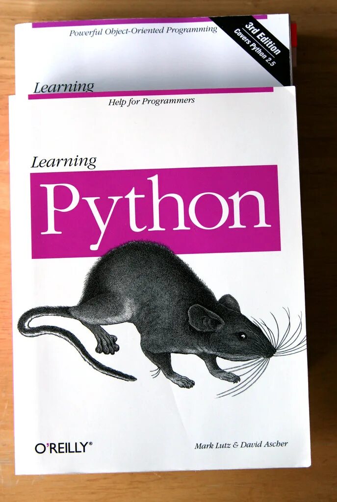 Python купить книгу. Питон Лутц 5 издание. Книга питон.