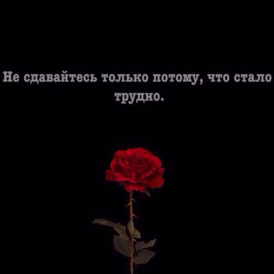 Прояви же красивое терпение коран. Прояви терпение аят. Прояви красивое терпение. Проявите красивое терпение. Прояви терпение на арабском.