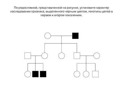 Генеалогический признак