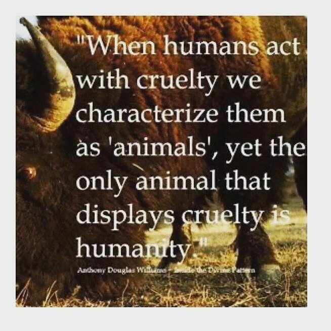 Animals quotes. Only the animals. Human acts