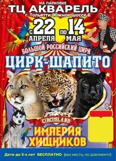 Тульский цирк афиша