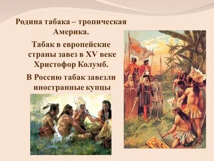 Развитие табака