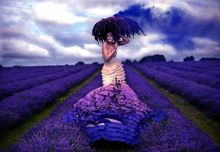 Purple models