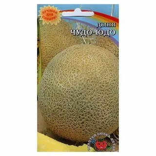 Дыня чудо чудес