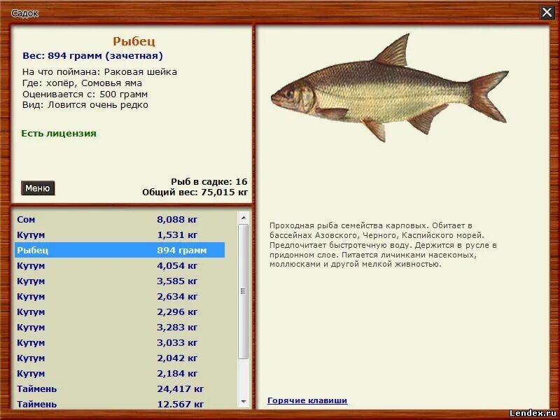 магазин рыбец 64 саратов. рыбец 64 сайт. сырть вяленая. рр красивая меча рыбец. рыбец.