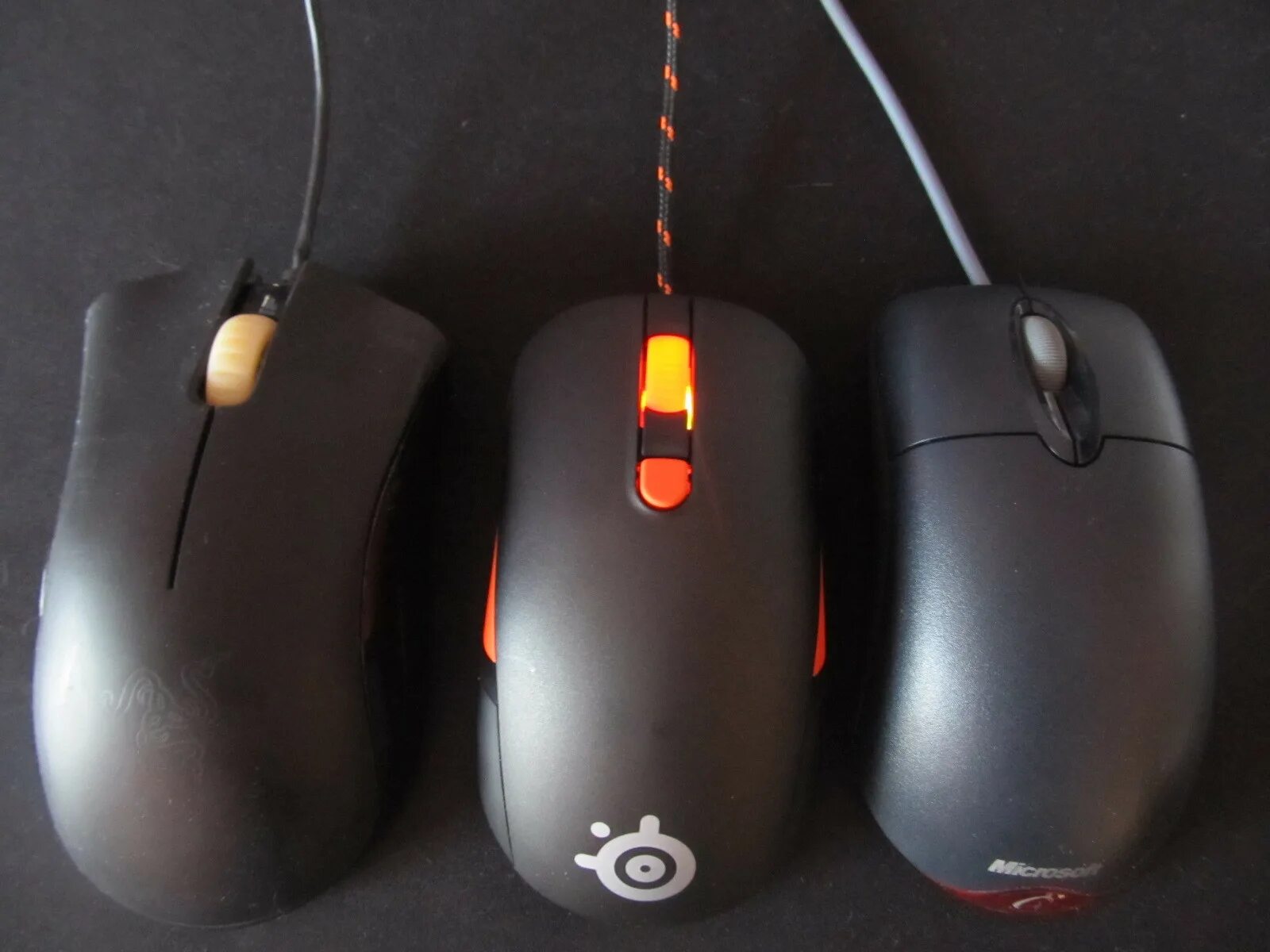 G2 mouse. Cat2mouse.