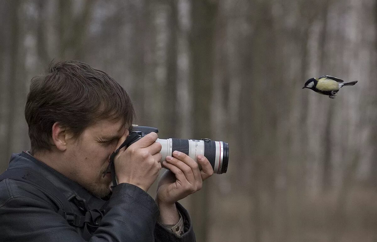 Птица с фотоаппаратом. Птичка фотографа. Съемка птиц. Фотоаппарат с птичкой.