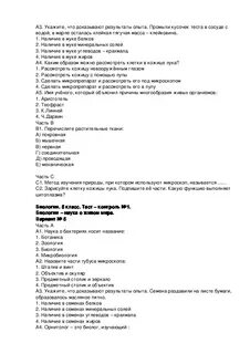 Тест кусочек