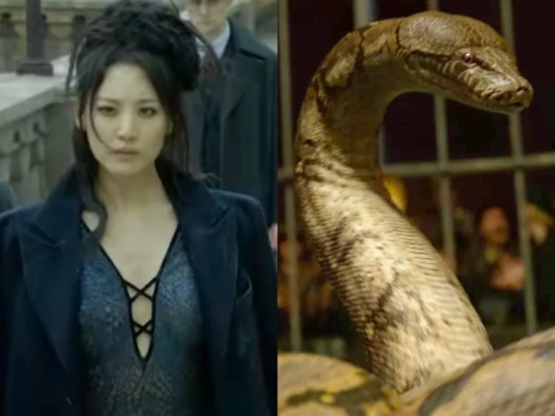 Нагайна поттер. Нагайна поттер. Нагайна маледиктус. Змея волан де морта нагайна. Нагайна поттер.