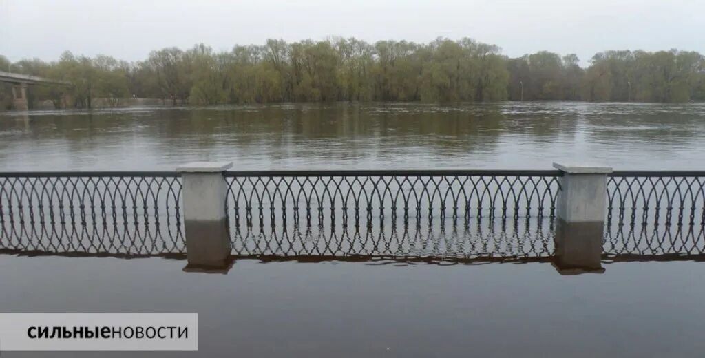 уровень воды в реке сож в гомеле на сегодня. уровень воды в реке сож в гомеле на сегодня. гомель затопило апрель 2023. наводнение фото. гомель потоп 2023.