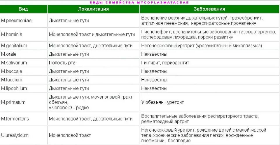 Лечение микоплазмы у мужчин. Урогенитальная микоплазменная инфекция. Микоплазмы вызывают заболевания. Заболевания урогенитального тракта вызывает.