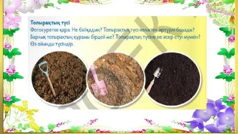 Аналитика және секс жинағы