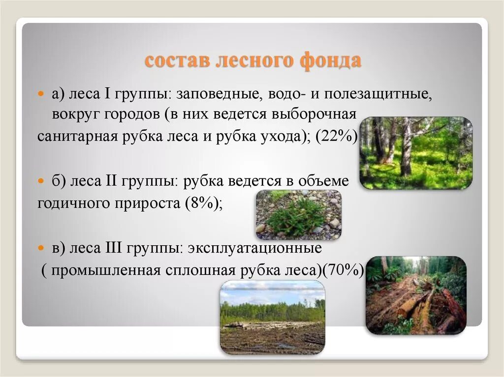 Группы леса лесного фонда РФ. Три группы лесов в Лесном фонде. Лесной фонд РФ группы. Состав лесного фонда. Какие есть группы лесов