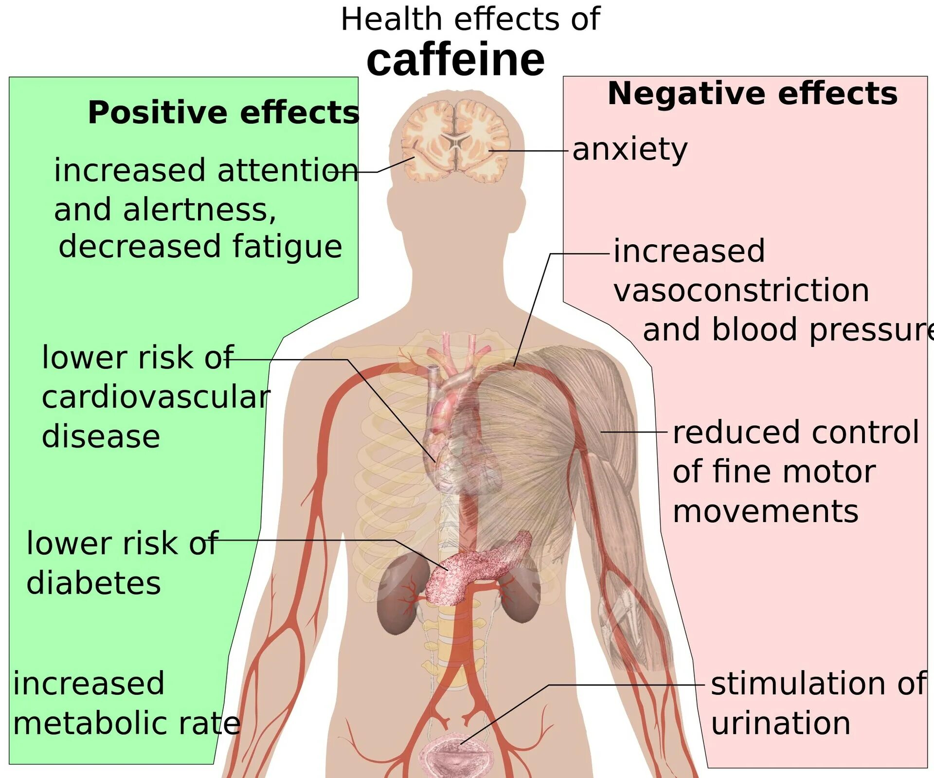 Should effected on