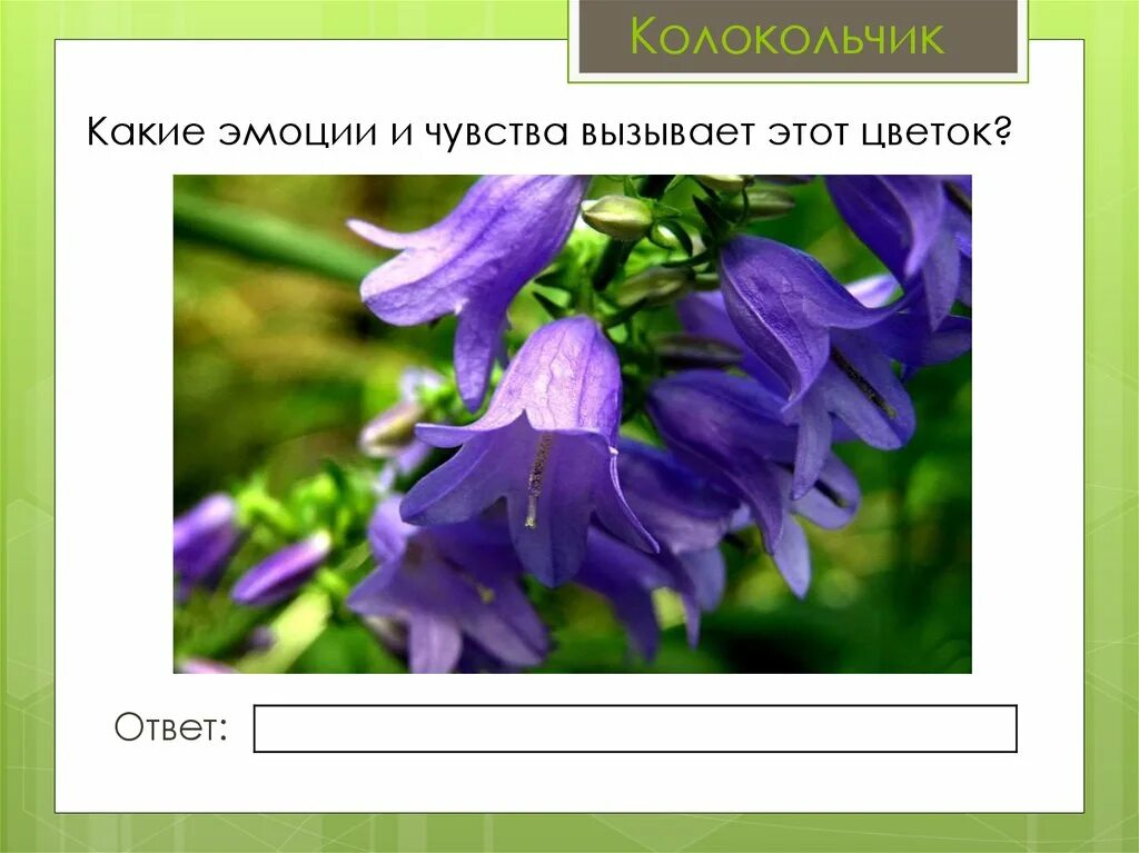 Колокольчик на какой вопрос отвечает. Какие чувства вызывает колокольчик. Какие чувства вызывают цветы. Колокольчик какой прилагательные. Колокольчик какой ярус.