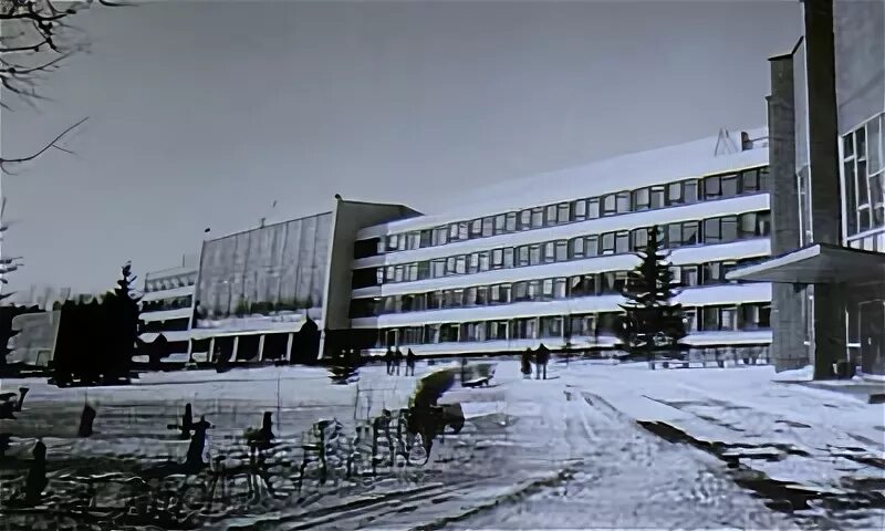 Брянская сельскохозяйственная академия кокино. Кокино спо. Кокино спо. Кокино брянск бгау. Кокино спо.