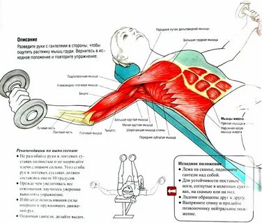 Гантели на все мышцы для женщин