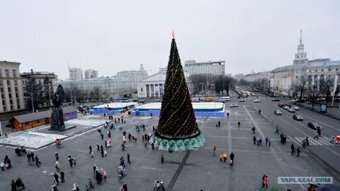 Фото воронеж площадь