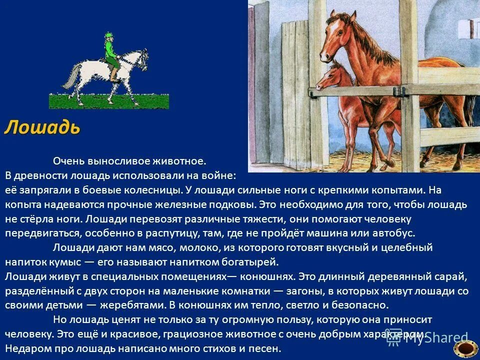 Значение лошадка. Лошади в древности. Коневодство в древности. Роль лошади. Использование лошадей в древности.