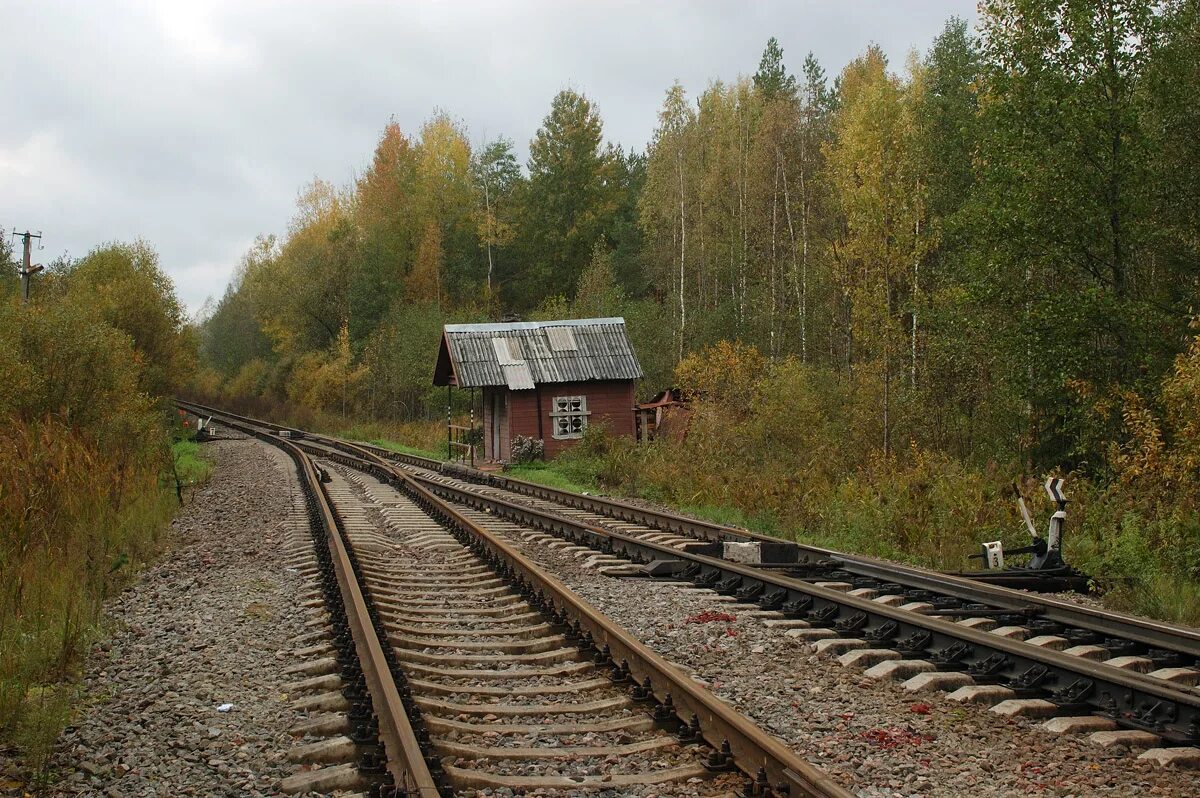 Осташков жд