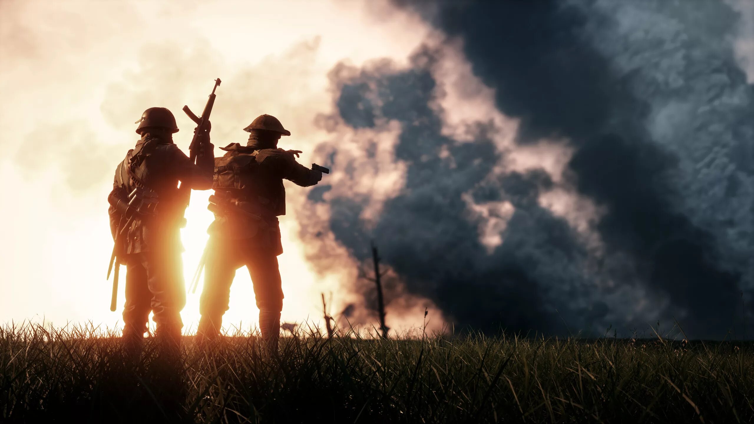 Fields of verdun