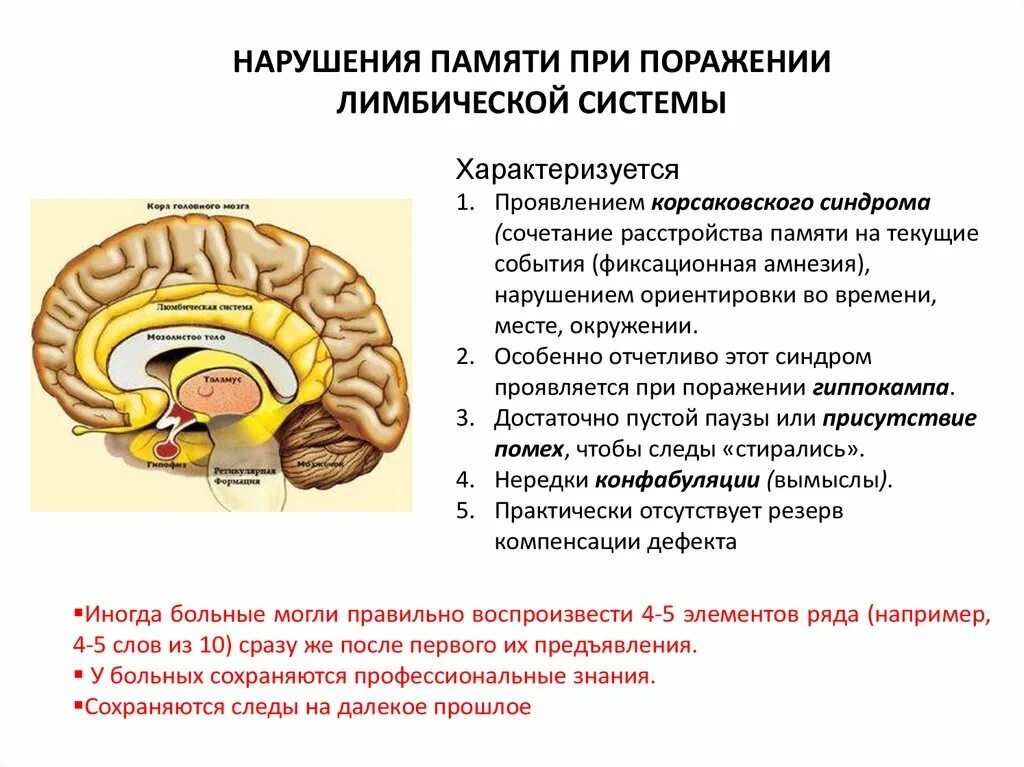 Повреждение гиппокампа. Лимбическая система синдромы поражения. Лимбическая система гиппокамп функции. Симптомы поражения лимбической системы неврология. Лимбическая система мозга структура функции таблица.