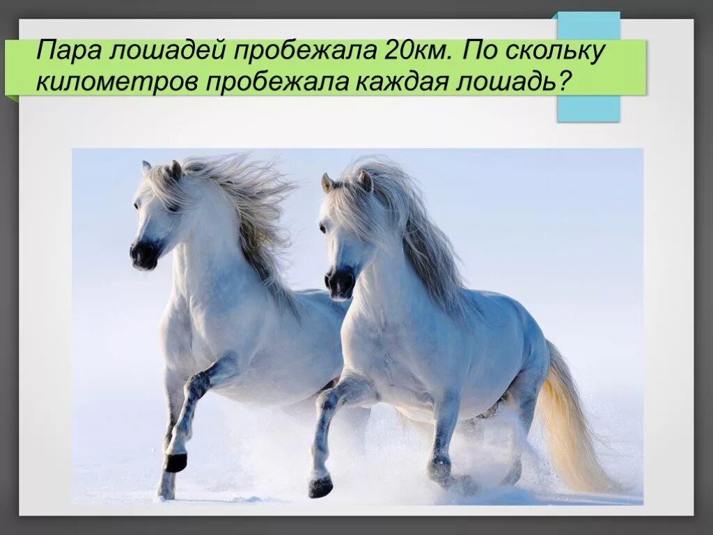 Пара лошадей пробежала 20 км сколько