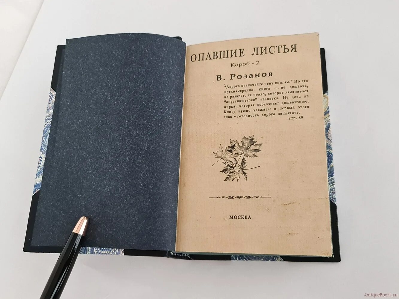 Читать книгу опавшие листья. Розанов в.в. "опавшие листья". Книга Розанов опавшие листья 1992 г.