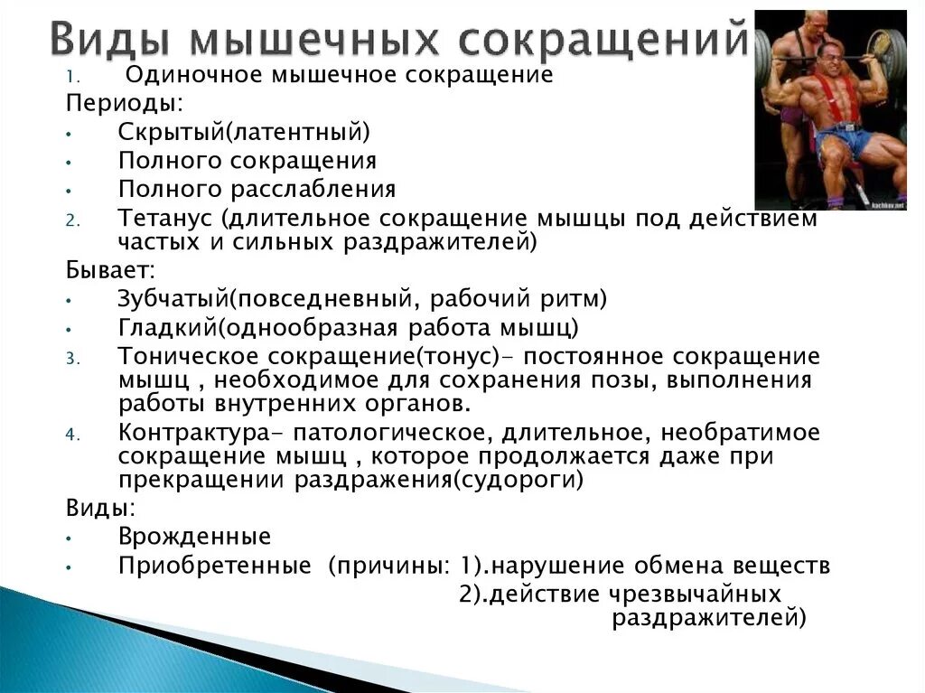 Снижение мышечной