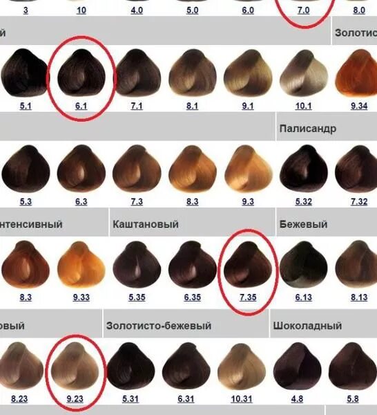 краска для волос капус палитра оттенков по номерам 10. краска капус палитра цветов по номерам 6. краска kapous палитра цветов по номерам 8. 8. краска капус профессионал палитра.