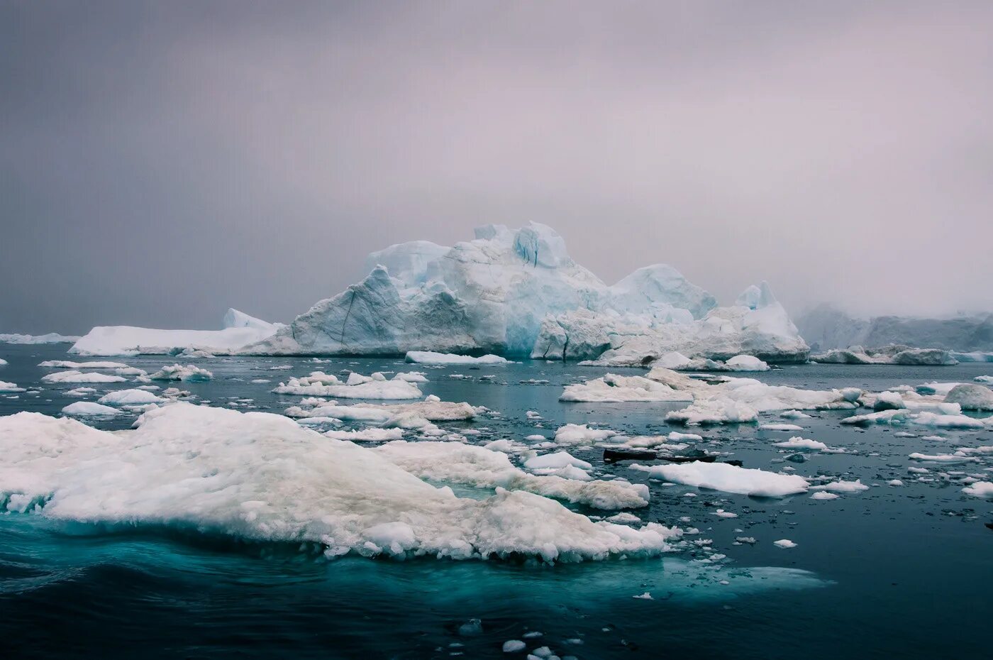 Лед айсберг арктика антарктида. Китовая бухта антарктида. Северный ледовитый океан шторм. Покровные ледники гренландии. В холодных морях можно встретить.