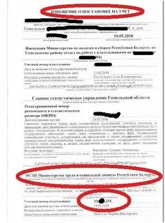 Как узнать свой унп в беларуси