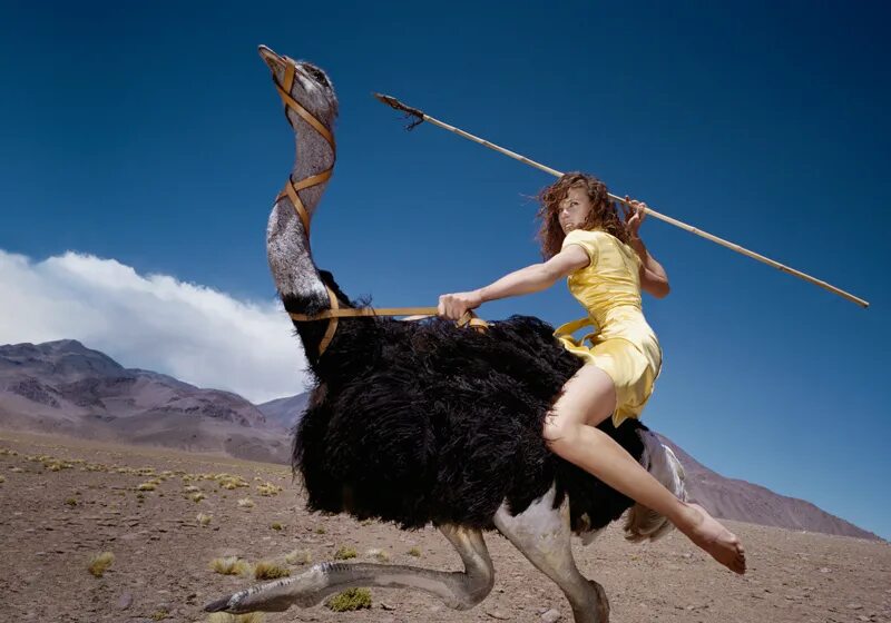 Девушка на страусе. Верхом на страусе. Смелая женщина. Женщина верхом на страусе.